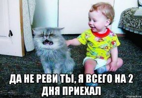Картинки с надписями