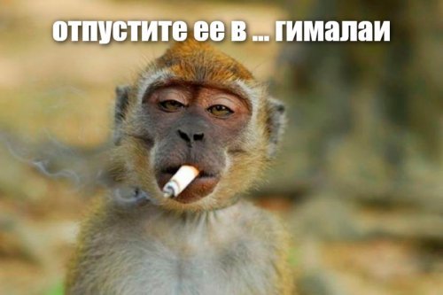 Ну,блин как так