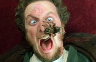 Прикольные и смешные картинки