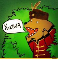 Прикольные и смешные картинки