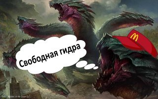 Убойные ситуации, в которые часто попадают дизайнеры