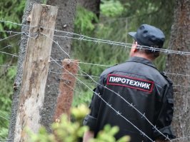 У меня такая же... на этом фото не видно, она на рукаве...