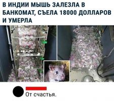 Мыши съели не доллары, а индийские местные рупии.
Вот текст новости.
"Всего в банкомате содержалось 2 миллиона 948 тысяч рупий. Животные погрызли банкноты общей стоимостью 1 миллион 238 тысяч рупий (17963 $).

Аппарат был наполнен в основном банкнотами номиналом 500 и 2000 рупий. Судя по фотографиям, опубликованным изданием, мыши смогли растерзать деньги на мельчайшие фрагменты."