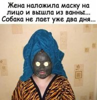 Прикольные и смешные картинки