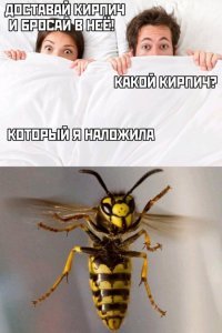 Прикольные и смешные картинки