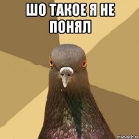 Забавные демотиваторы обо всем на свете 