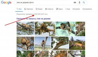 А чего так мало НЕ склонных к залезанию на деревья львов разместили ?