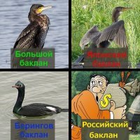 20 жизненных постов из Сети обо всем на свете
