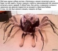 Устрашающего вида роботы, находящиеся в настоящее время в разработке