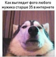 Девушки рассказали, какие фото на сайте знакомств мужчинам не стоит ставить в профиль