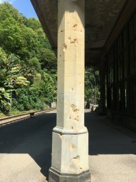 Станция Псырцха, близ Сухума.