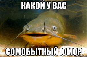 Когда очень нужно проехать, но знак "кирпич" у тебя на пути