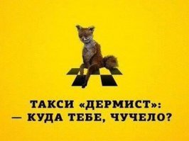 Забавные демотиваторы обо всем на свете 