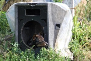 17 крутых идей использования старых колонок
