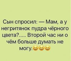 Черноносые овцы - предвестники апокалипсиса или милашки?