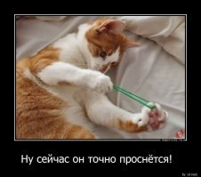 Забавные демотиваторы обо всем на свете 