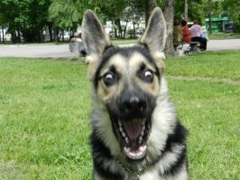 Картинки с надписями