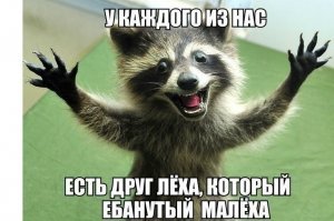 У каждого есть такой друг