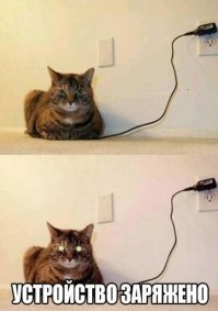Х-хе... У меня дома регулярно зарядкой занимается только телефон. Ну ещё шурик (шуруповёрт), но изредка, т.к. лодырь. Кошак. Всё.
