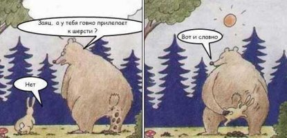 В Тамбовской области медведи воруют провода из меди.