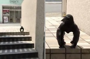 16 удивительных фотографий животных с явными человеческими чертами