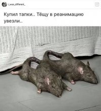 Бэз камментарыев