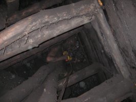 Все профессии нужны, все профессии важны: люди за работой со всего мира