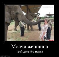 Удар хоботом