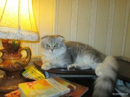 Азиатки трансформируют своё лицо при помощи макияжа и этих людей трудно узнать