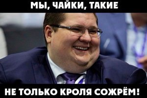 В Великобритании чайка целиком проглотила маленького кролика