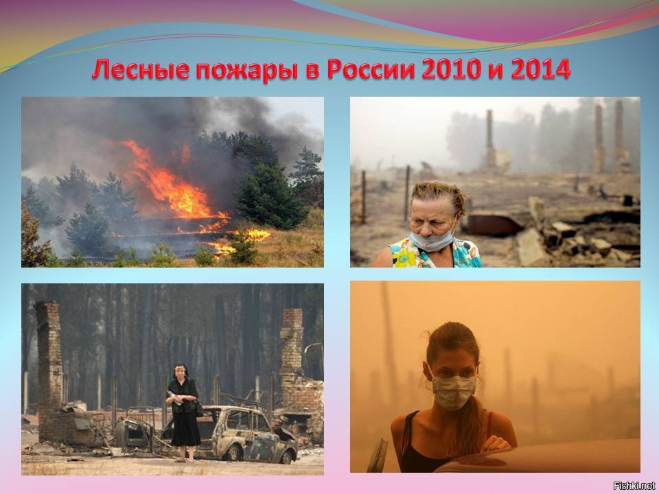 Вся россия 2010