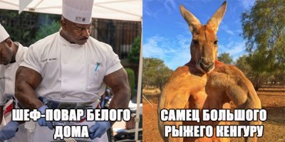 >>...животных с явными человеческими чертами<<
Да, есть такие.