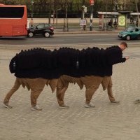 Смешные ошибки панорамной съемки