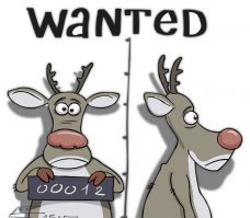 Мотоциклист из Техаса снял на видео момент своего столкновения с дикой косулей