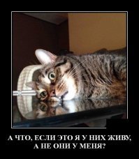 Я Тигррррр