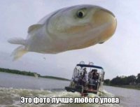 Если рыба упадёт на катер - ему пзда.