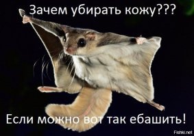 Минус 270: американке удалось похудеть в 5 раз