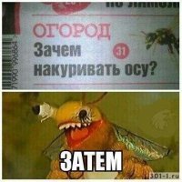 Американца обвинили в том, что он подсадил белку на наркотики