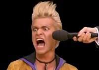 Кошки за работой