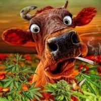 Восстановление и физические нагрузки