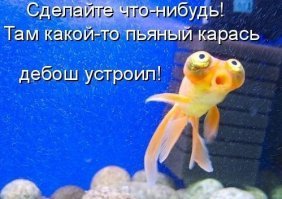 Огромный поток бурбона влился в реку после пожара на складе Jim Beam