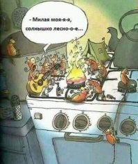 Животные в карикатурах