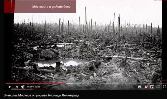 для меня ад на земле теперь выглядит так - ползать по торфяникам, где в каждой яме вода, где в укрепленных позициях на господствующих высотах засели немцы с артиллерией, своей артиллерии нет, постоянная угроза окружения.