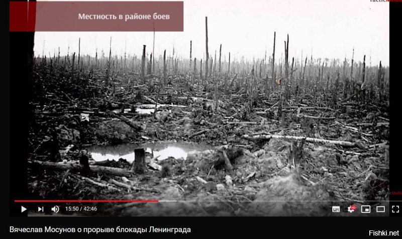 для меня ад на земле теперь выглядит так - ползать по торфяникам, где в каждой яме вода, где в укрепленных позициях на господствующих высотах засели немцы с артиллерией, своей артиллерии нет, постоянная угроза окружения.