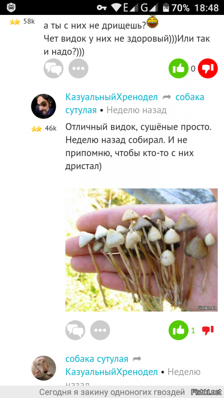 Спасибо, я обращаю внимаеия на людей, кто этого заслуживает, существо занимающееся хейтингом на 43м году жизни и потребляющее наркоту заслуживает сочувствия, но к сожалению у меня нет сочувствия к наркоманам.