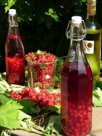 Это просто самогон , а домашняя настойка на смородине , выглядит как то так :