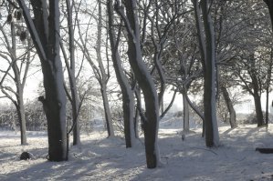 50 потрясающих фотографий, показывающих красоту нашего мира