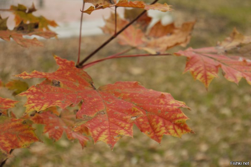 50 потрясающих фотографий, показывающих красоту нашего мира