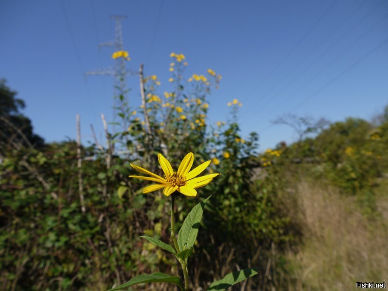 50 потрясающих фотографий, показывающих красоту нашего мира