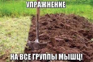 7 мифов про дачу